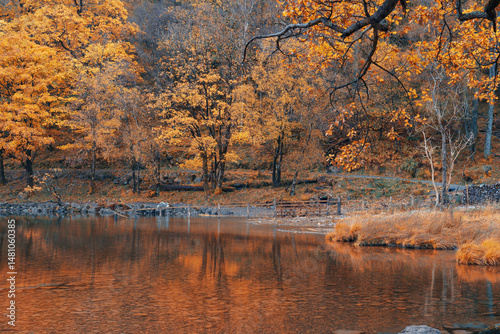 Obraz na płótnie Beautiful autumn trees at the shore of Buttermere lake in Lake District. UK w salonie