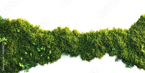 Lush green moss border against a white backdrop
