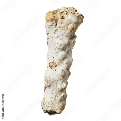 Horseradish photography isolated food art minimalist style