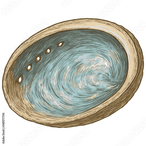 Abalone Shell Dish Vector – Iridescent Ritual Bowl for Smudging & Cleansing