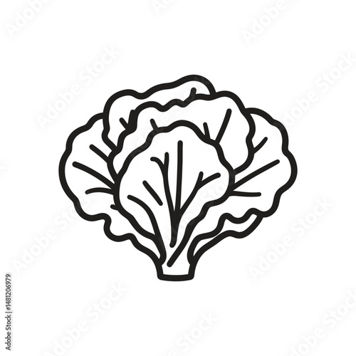 Black and white outline showcases a fresh lettuce head against a transparent background