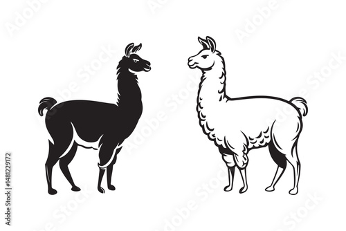 Cartoon vector illustrations of a llama animal