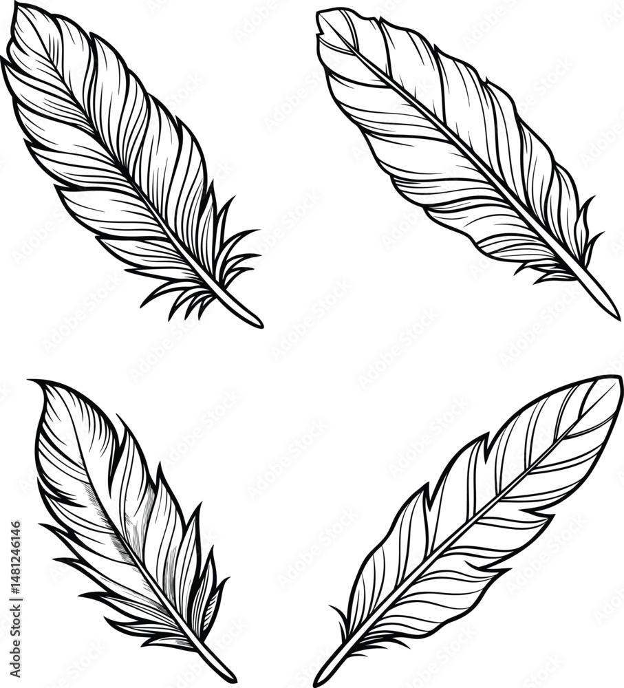 Obraz premium Detailed feather line art Vector set illustrations