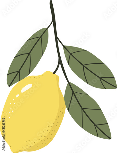 Lemon fruit with leaf isolated