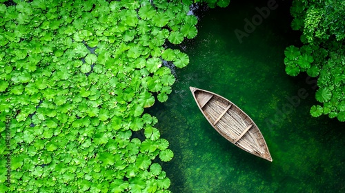 Wallpaper Mural Boat on Green Water with Lily Pads Torontodigital.ca