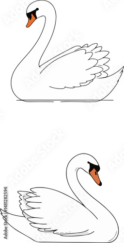 Two White Swans