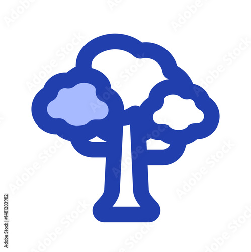elm tree 