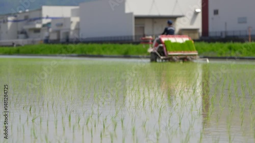 日本で田植え機を使って田植えをしている