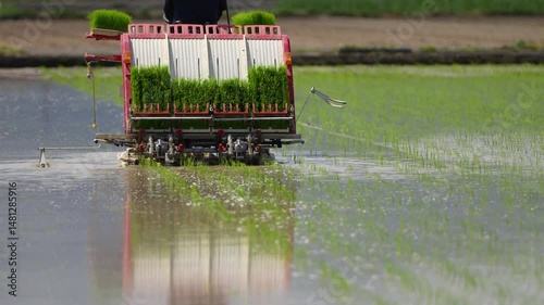 日本で田植え機を使って田植えをしている