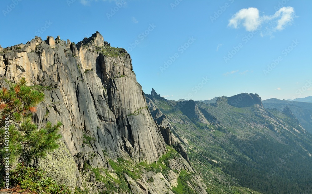 Cedar branches against a high cliff in a picturesque valley on a sunny summer morning. Cedar branches against a high cliff in a picturesque valley on a sunny summer morning.
