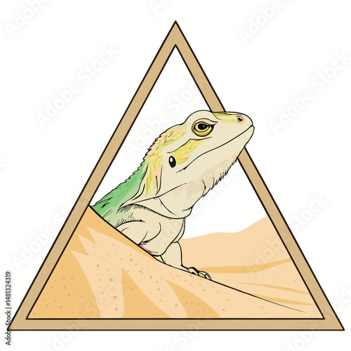 A desert iguana's head and neck peek from behind a triangular dune of shifting sand in the desert, eyes alert.