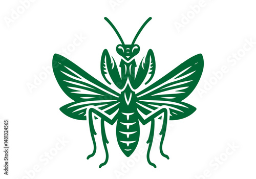 Mantis Hand Drawn Natural Illustration Stylized as Linocut Vector Isolated by AZ for Books, Arts, Design and Decoration Graphic Asset