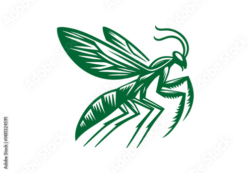 Mantis Hand Drawn Natural Illustration Stylized as Linocut Vector Isolated by AZ for Books, Arts, Design and Decoration Graphic Asset