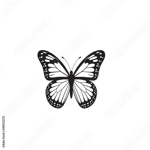 butterfly vector illustration silhouette with white background 