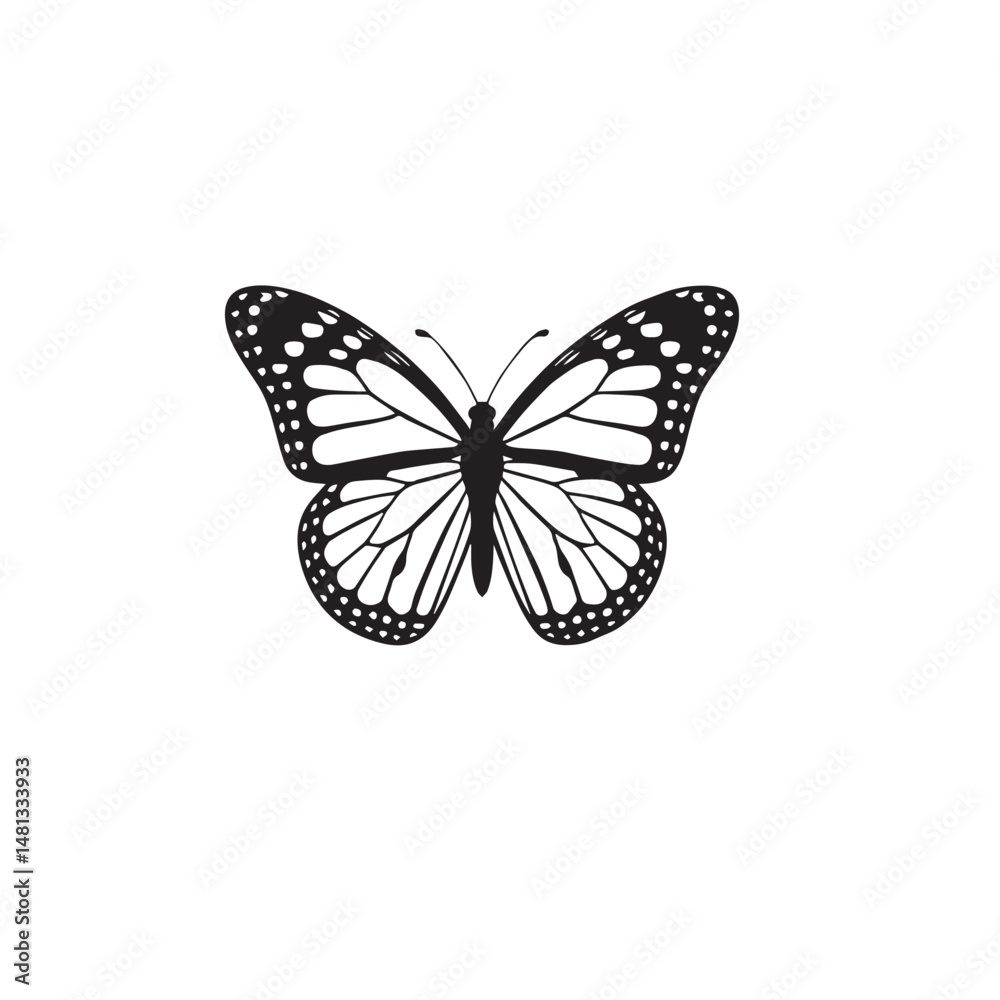 Fototapeta premium butterfly vector illustration silhouette with white background 