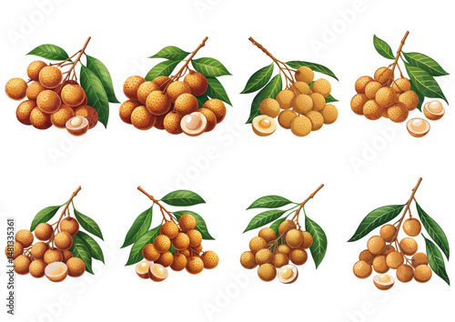  “Luscious Longan Vector Collection – Asian Fruit Series”