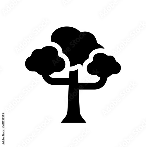 elm tree 