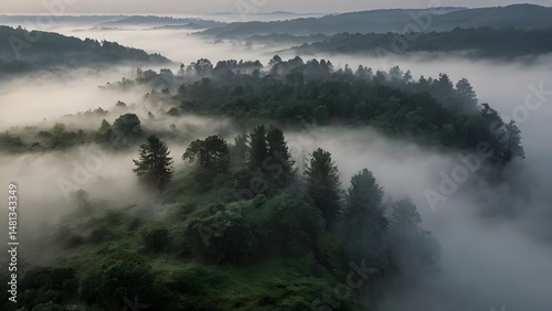 fog over the mountains