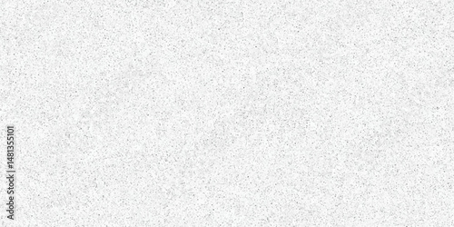 Abstract vector noise. Small particles of debris and dust. Distressed uneven background. Grunge texture overlay with fine grains isolated on white background. Vector