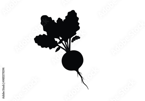 Radish silhouette. The image shows a black silhouette of a radish, a root vegetable with leaves. Vector clipart illustration design.