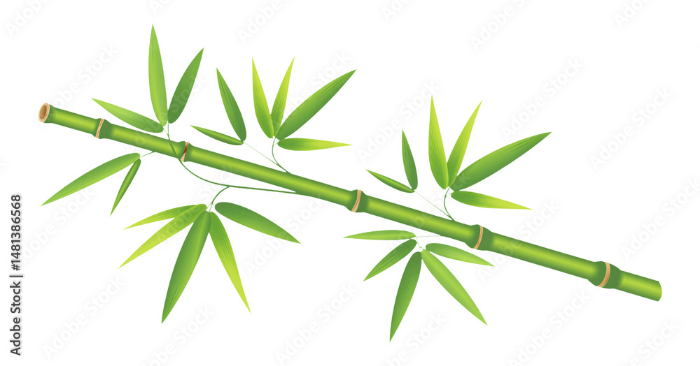 Naklejka premium Elegant Bamboo Stalk with Lush Green Leaves Illustration