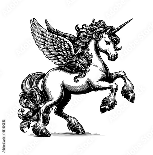 Majestic Winged Unicorn Standing Proudly with Detailed Engraved Black and White Illustration