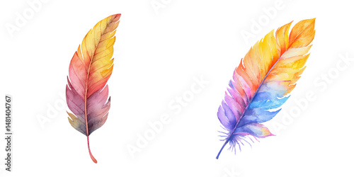 feather watercolor vector illustration