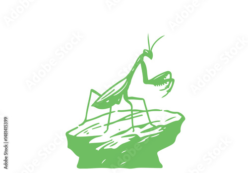 Mantis Hand Drawn Simple Illustration Vector Isolated by AZ for Books, Arts, Design and Decoration Graphic Asset
