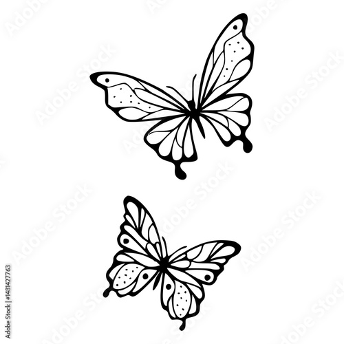 elegant butterfly line art vector