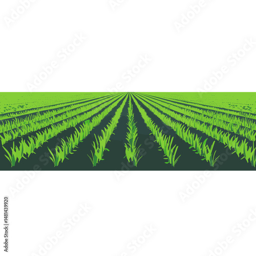 Grass field border illustration agriculture plant vector