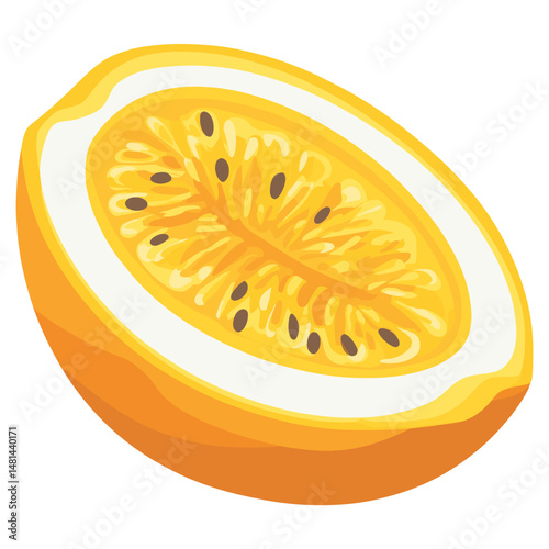 Half of passion fruit illustration orange art vector