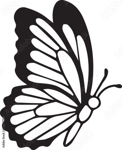 Canvas Print butterfly silhouette, butterfly vector, butterfly wings, insect silhouette, butt