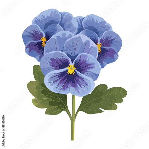 Blue Pansies pansy illustration flower vector