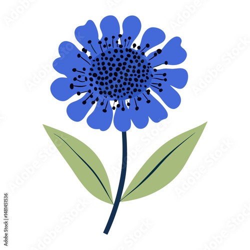 Blue Scabiosa Bloom art illustration flower vector