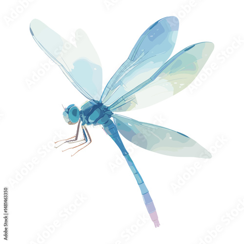 Dragonfly dragonfly illustration watercolor vector
