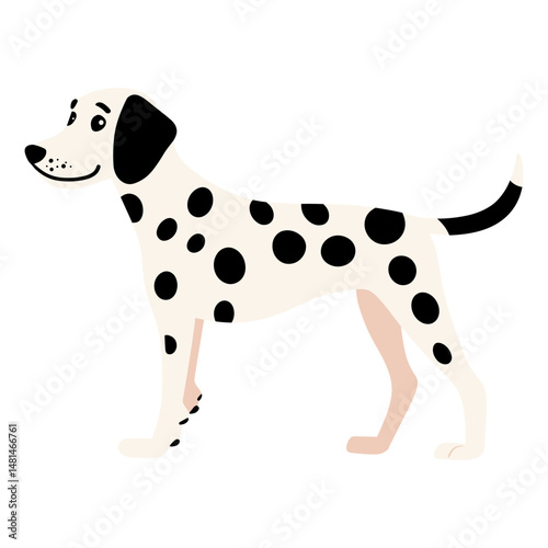 Dalmatian dalmatian dog illustration vector
