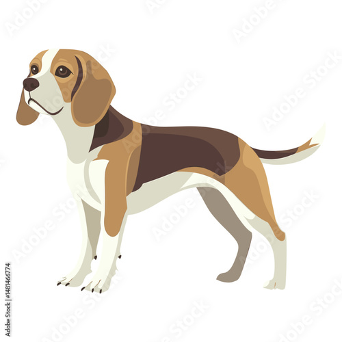 Beagle beagle dog illustration vector