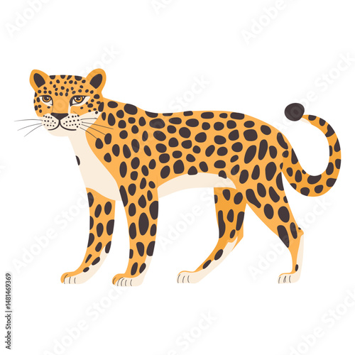 Vector illustration of Leopard leopard wildlife animal vector