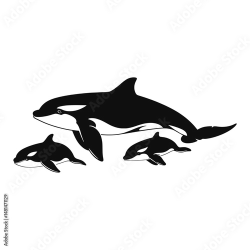Orca whale and 2 cubs illustration silhouette animals vector