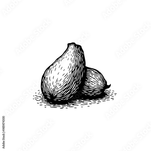 Artistic portrayal of two gourds showcases organic forms in black and white