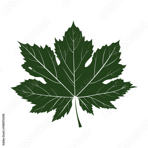 Leaf green illustration chandelier vector