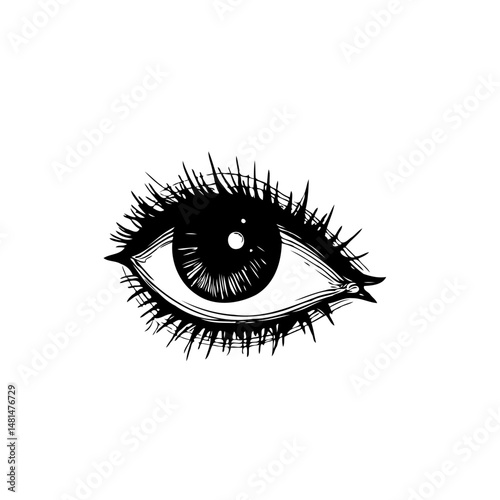 Monochrome eye illustration featuring intense lashes against a stark white backdrop