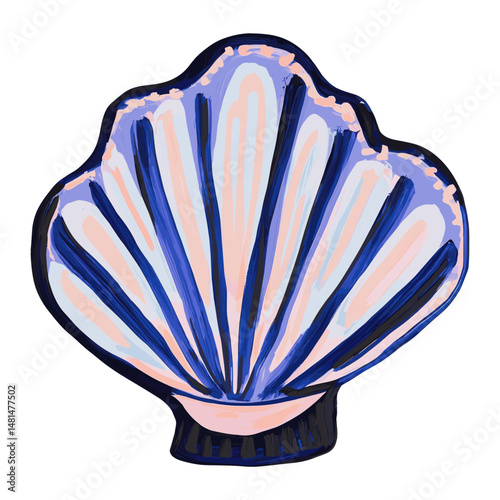 Shell seashell invertebrate illustration vector