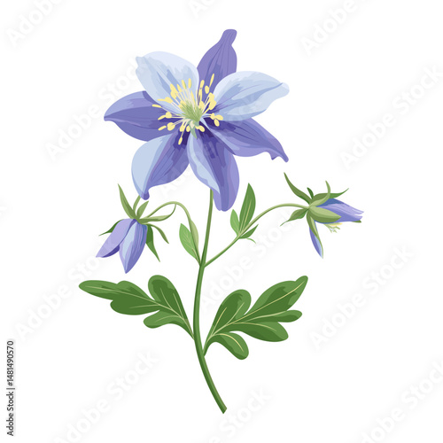 A Columbine wildflower clip art illustration design aquilegia vector