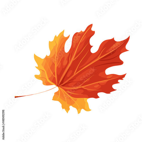 Autumn leaf illustration isolated fall vector
