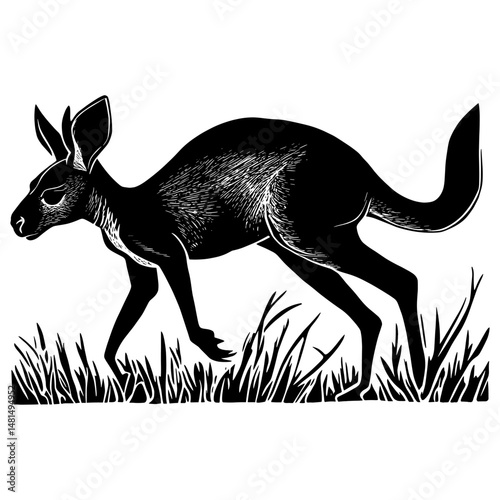 Kangaroo wood block print animal white illustration vector