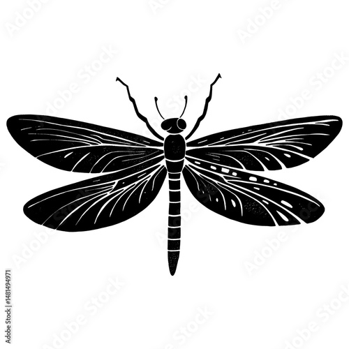 Dragonfly wood block print insect invertebrate illustration vector