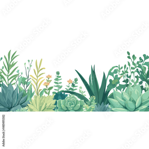 Aloe Vera and succulents as the bottom border illustration background nature vector