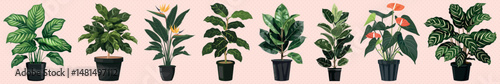 Vibrant potted indoor plants lineup, isolated element set vector