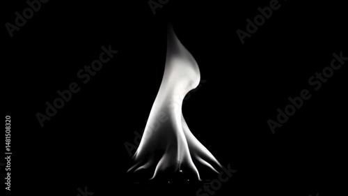 A single, tall flame against a black background, exhibiting a unique, almost tree-like structure